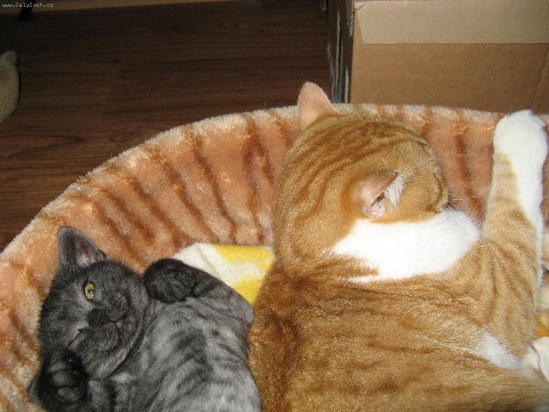 Foto: Neru� sp�me!-Mat�sek a Kub��ek sp� v pel�ku.