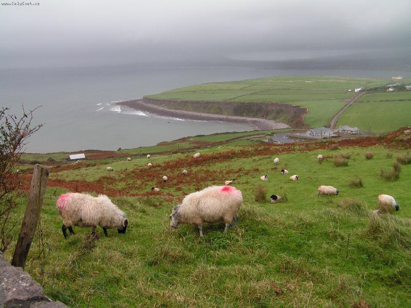 Foto: ajry�-Ireland - Ring of Kerry