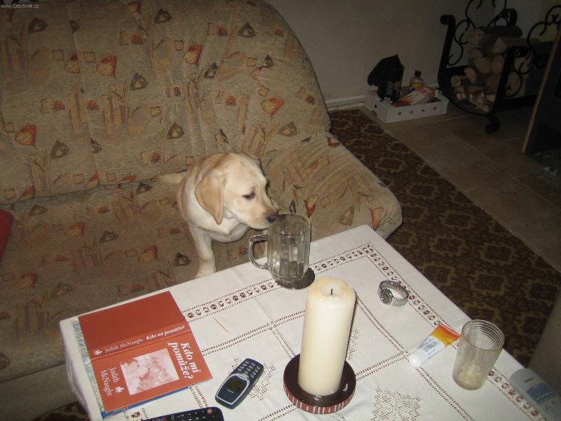 Foto: Berry-Zv�dav�