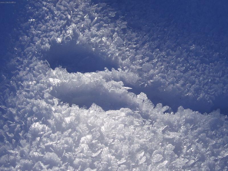 Foto: STOPA-stopa ve sněhu