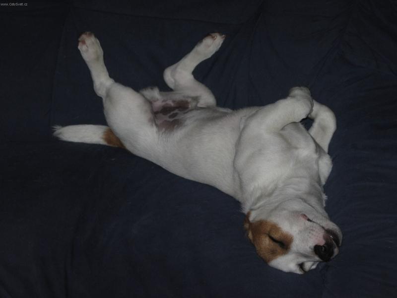 Foto: To se mi to kr�sn� sp�