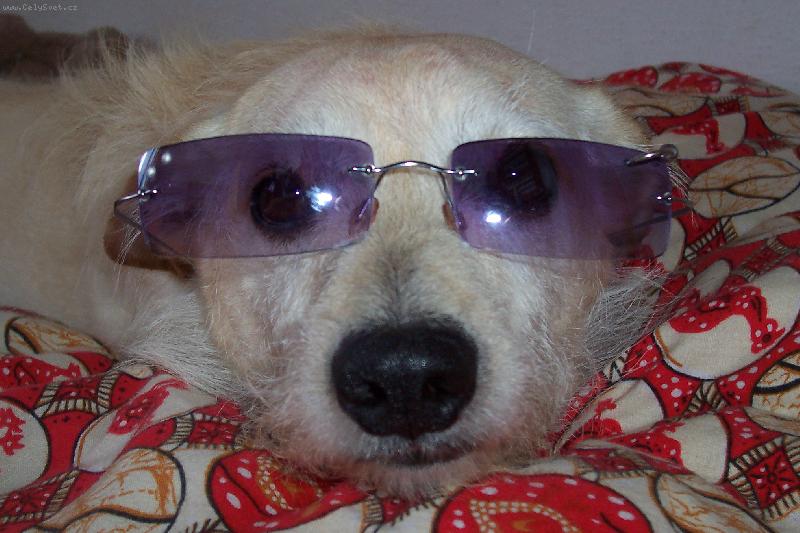 Foto: Pan �ub��ek- pan �ub��ek model