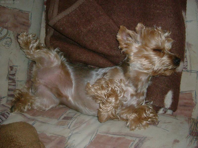 Foto: Mates-DOBROU NOC!!!vzbu�te m� a� v 9:00!