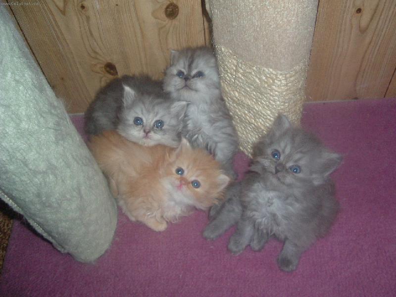 Foto: �sm�v pros���m :-)