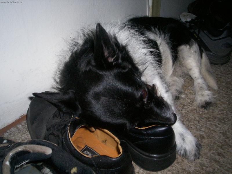 Foto: Trval� sp�nek-Nark�za od p�ne�ka je v�dy nejlep��