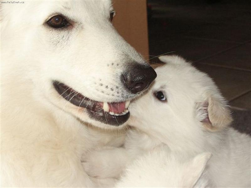 Foto: mamina s mal�m :-)-mamina s mal�m :-)