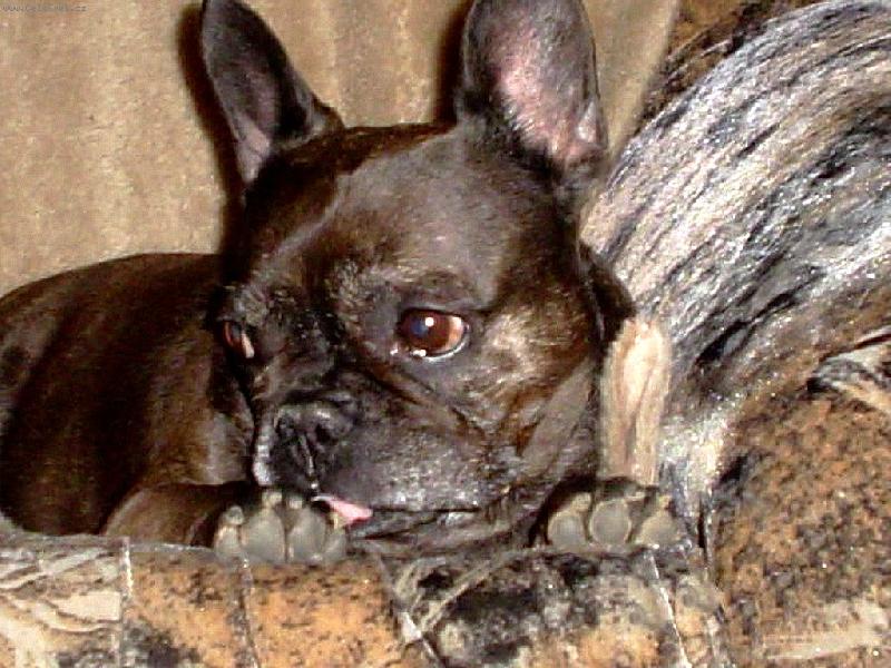 Foto: Schelly - po��dek mus� b�t :-)