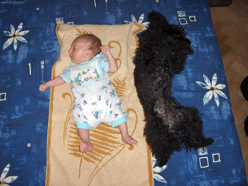 Foto: �lofi�ek-kdy� mus� tak mus�