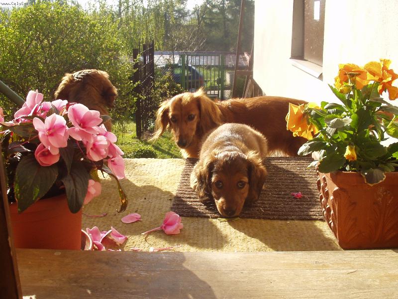 Foto: BAR� A JEJ� D�TI-U� MAJ� NOV� DOMOVY