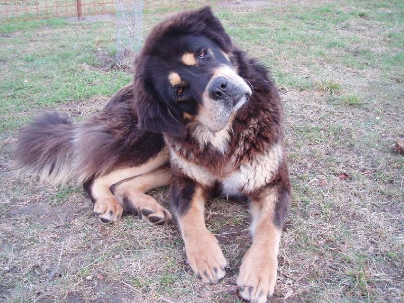 Foto: Barunka-...co ��k�???