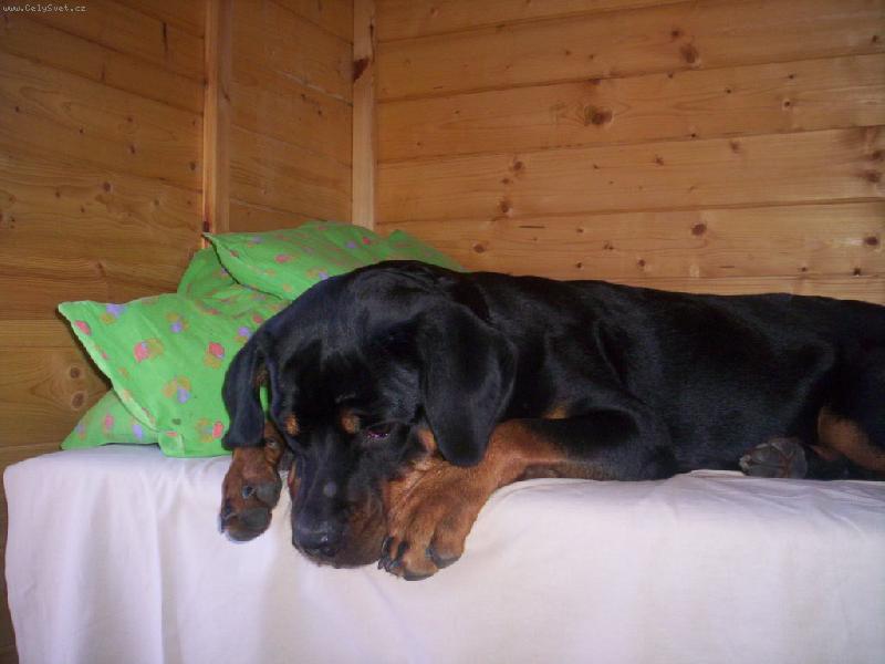 Foto: Kimi-Kde m�m ten m��ek?