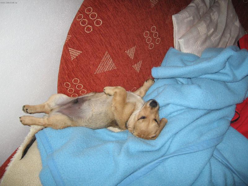 Foto: odpo�inek-Nech si n�co p�kn�ho zd�t