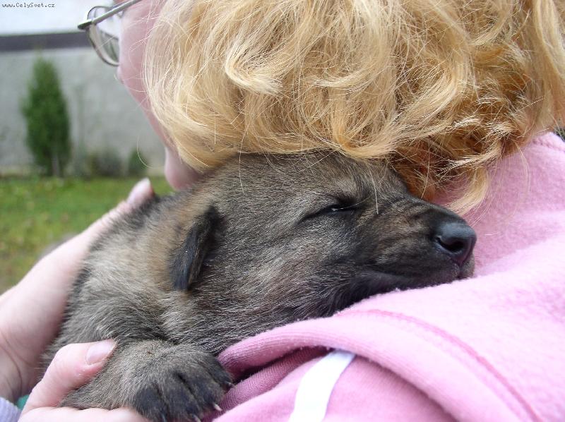 Foto: Nejv�t�� trha� na sv�t�-Mal� vl�� �punt