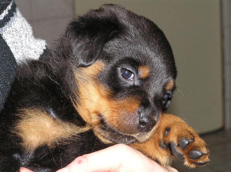 Foto: prvn� v�b�r-moje Blue Cascaya Nemertini