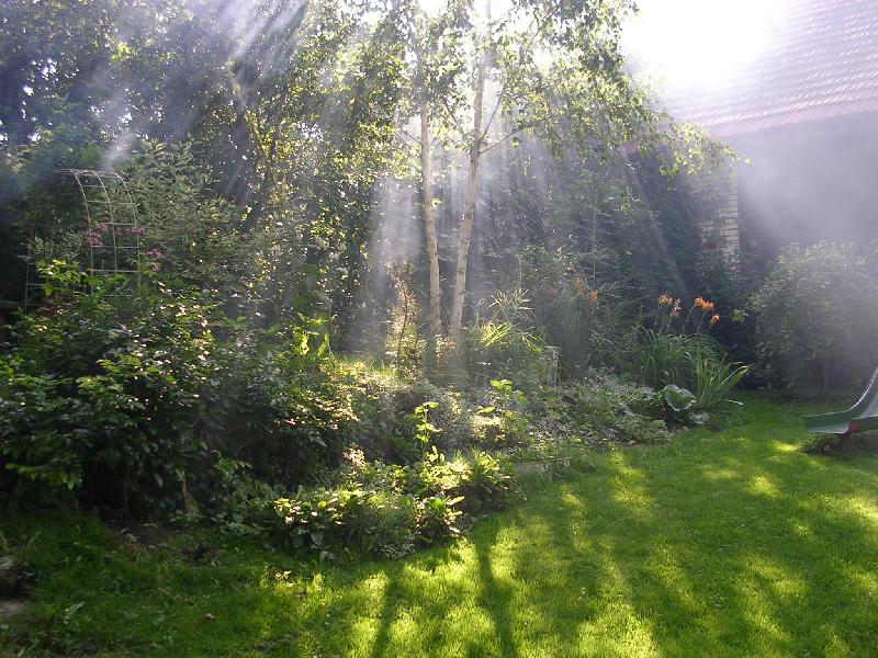 Foto: Zahrada v oparu