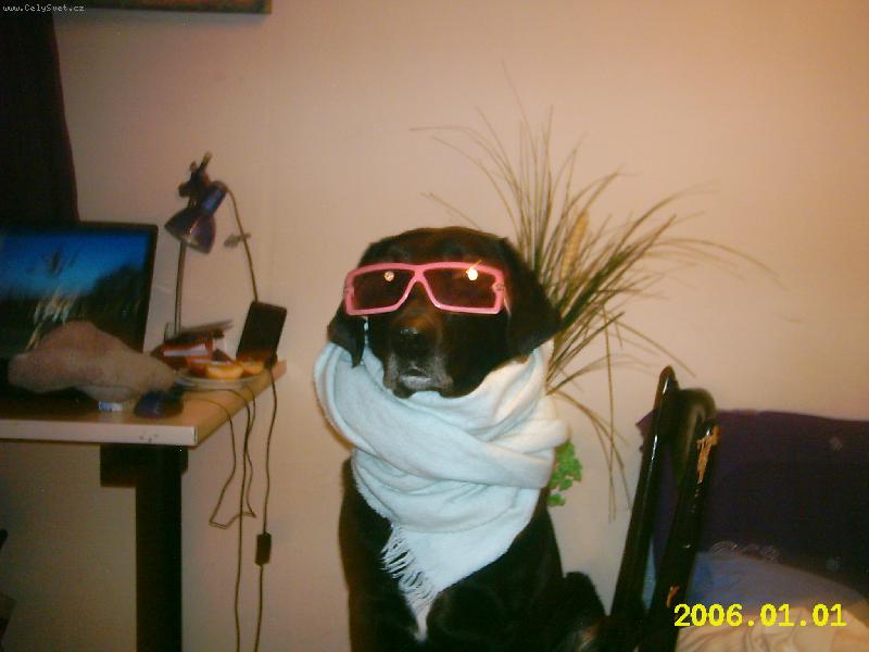 Foto: to je ale dneska krasne-muj pejsacek