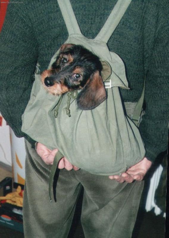 Foto: v�hled z ba�ohu-tak pan��ku, jdeme na proch�zku