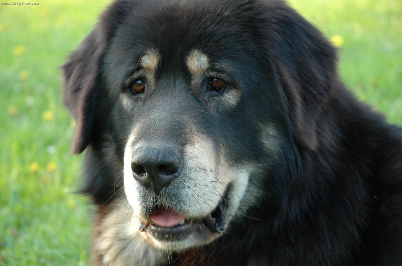 Foto: N� mil��ek