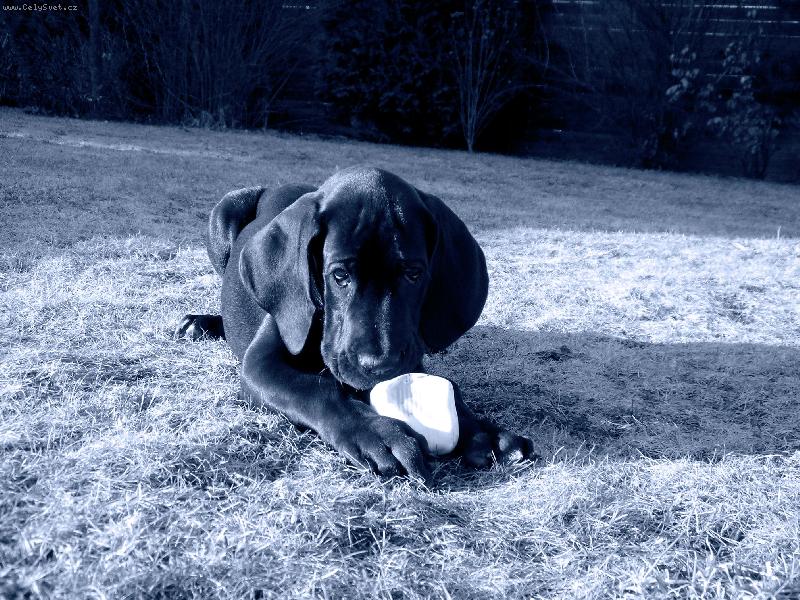 Foto: J� nic, j� muzikant ...