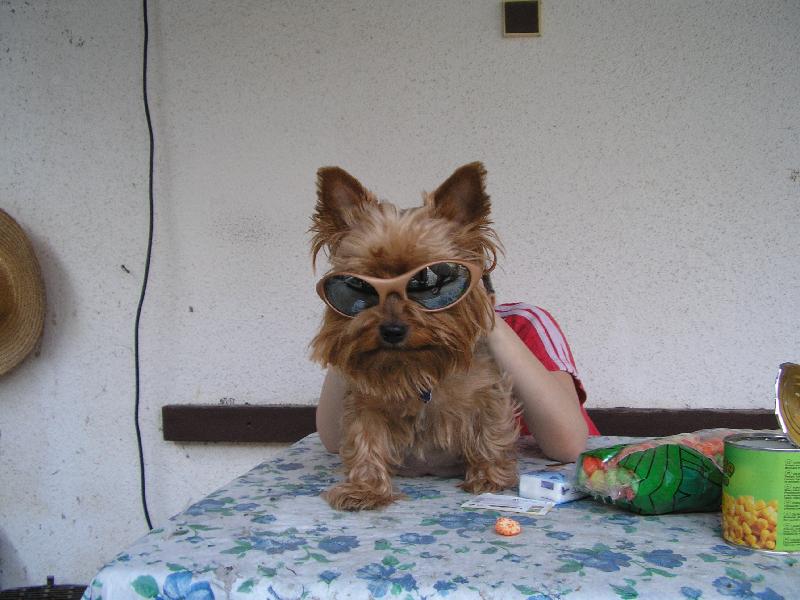 Foto: Peggynka-To kouk�te !!! J� taky !!!