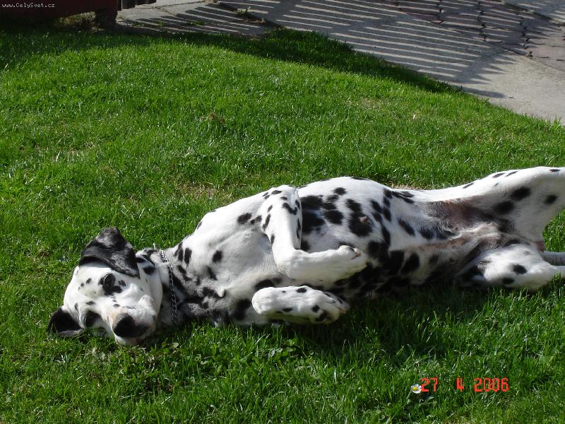 Foto: Bela-Belinka odpo��v�,jak se mi to l�b�?Super!!!!