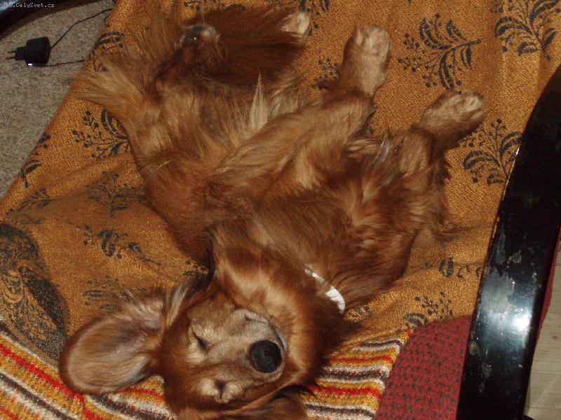 Foto: Pohodi�ka.....-zd� se mi kr�sn� sen...