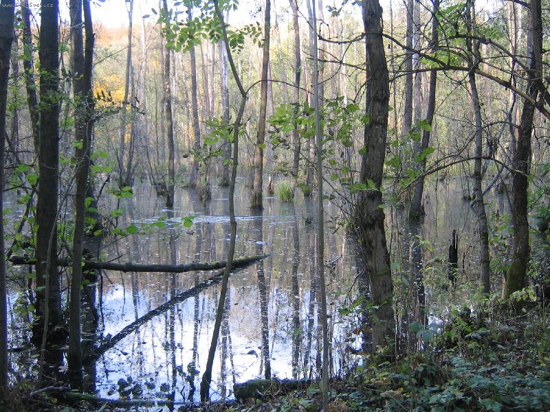 Foto: ba�iny-z�skala 6.m�sto na sout�i Barvy podzimu od IS�P