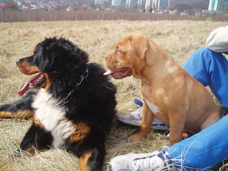 Foto: dobr� pocit-Maxmili�n a Samira