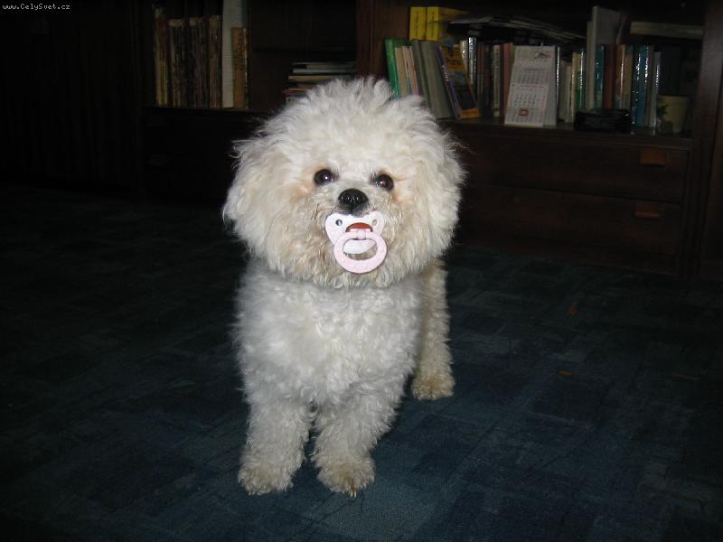 Foto: To jsem na�el a nikomu to ned�m-Jako miminko