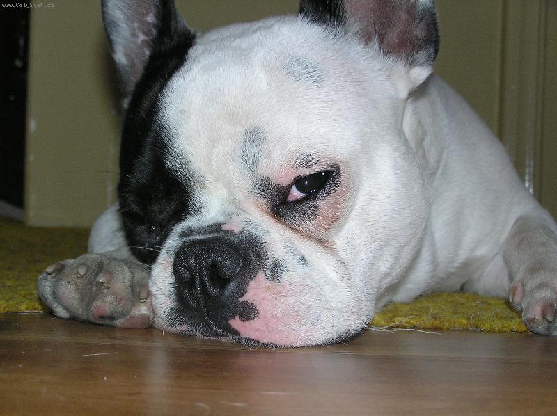 Foto: Monta-i kdy� sp� - tak pokukuje...