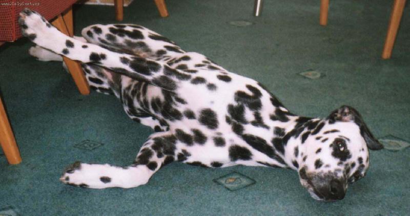 Foto: Jsem v pohod�-Jsem v pohod�