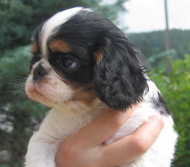 Foto: 8 t�denn� Big Brother ze Slunn� str�n�