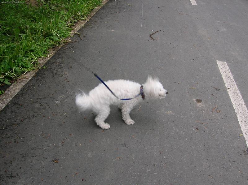 Foto: fuj...........mus�m se ot�epat...........