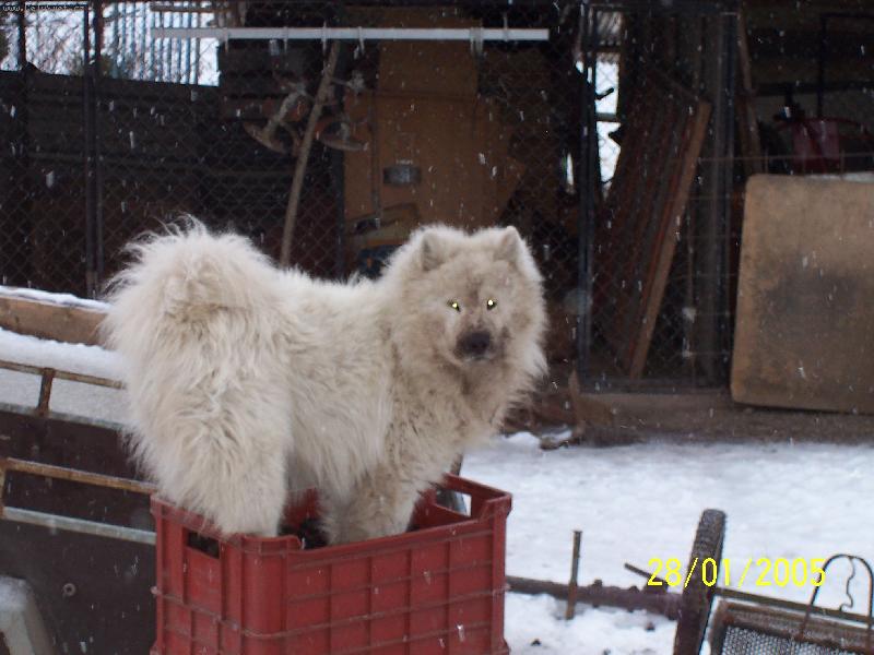 Foto: Bakou� hornikem-To je d�ina dolovat uhl� aby p�n��ek a pani�ka se oh��l