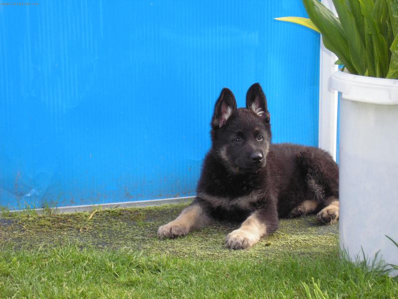 Foto: Nero-8 t�dn�