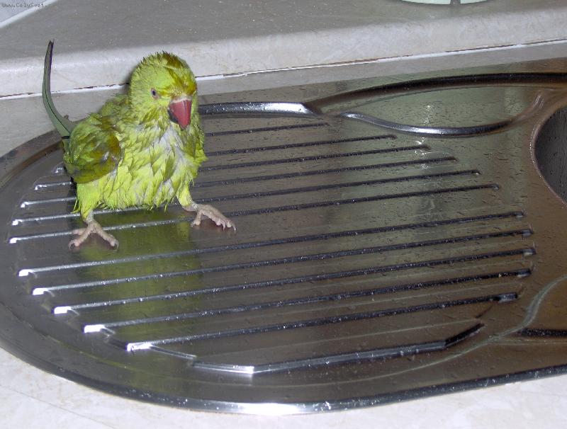 Foto: n� Hugo-nem�te osu�ku?