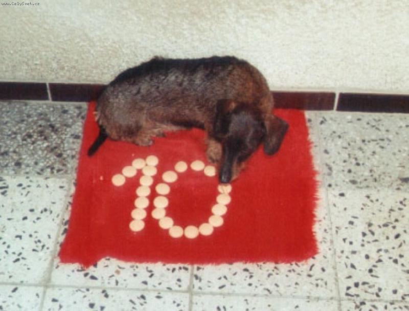 Foto: Oslava narozenin-Oslava narozenin