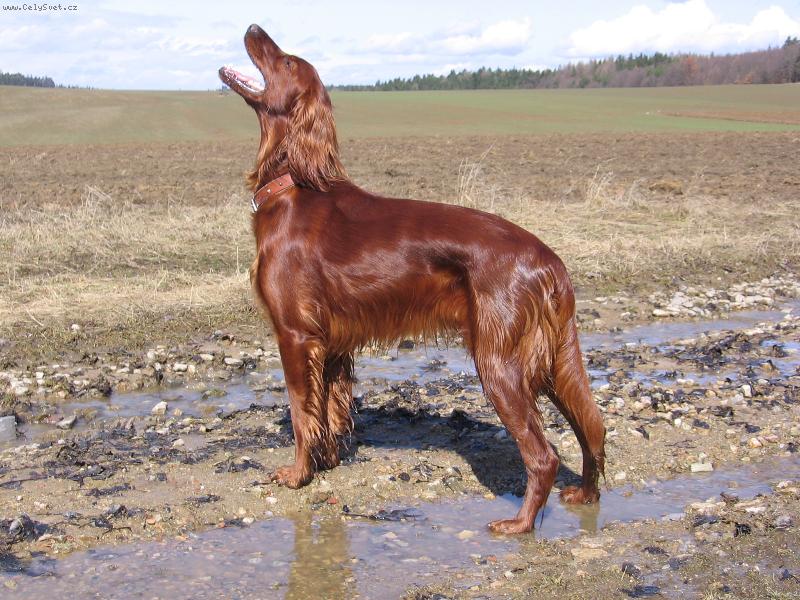 Foto: Jessy-Kone�n� jaro