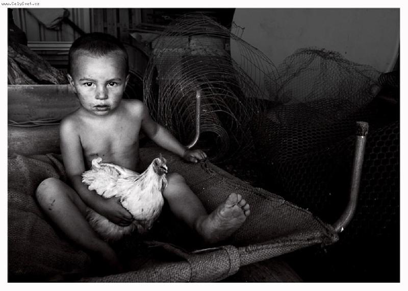 Foto: sean-ve stodole si r�d hraju