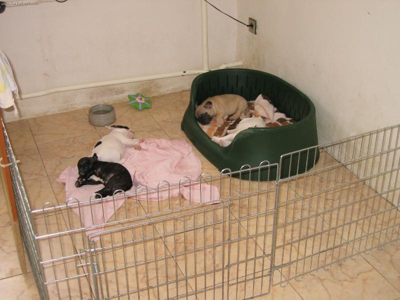 Foto: unava-po po�adnem,jidle po�adny spanek!!!