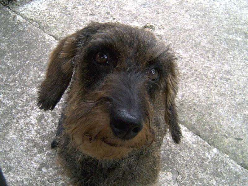 Foto: Smutneni-Posledni den, kdy jsem Barunku videla