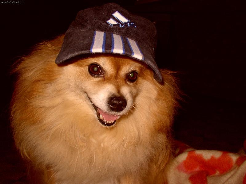 Foto: Ron��ek-p�i sportu