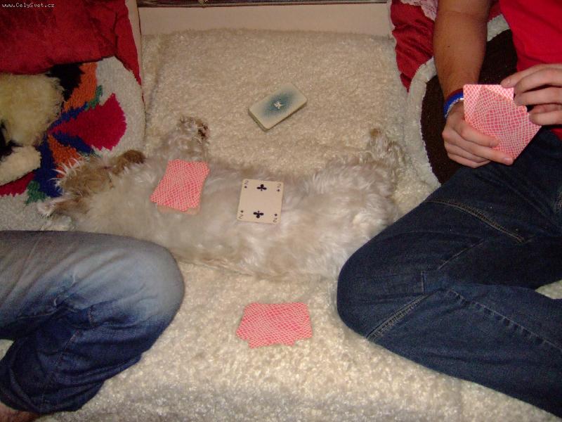 Foto: Hrac� plocha