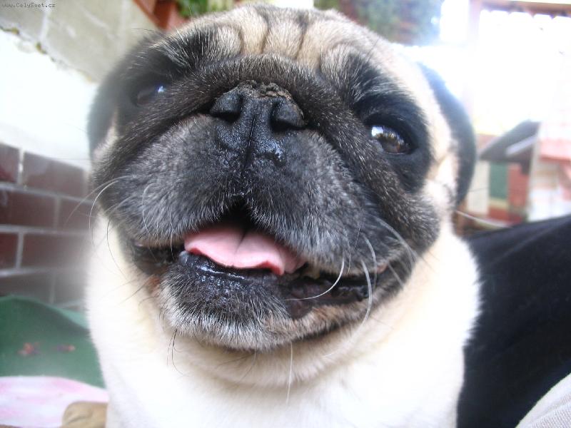 Foto: takhle se sm�ju