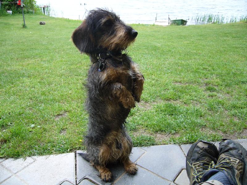 Foto: Ben-P�i ty d�lce je to fu�ka!!!