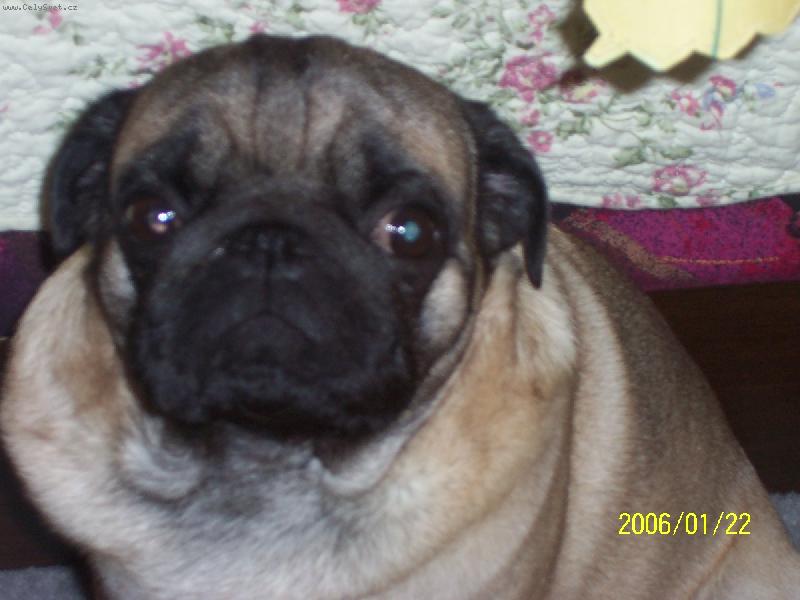 Foto: M�j mil�ek:)