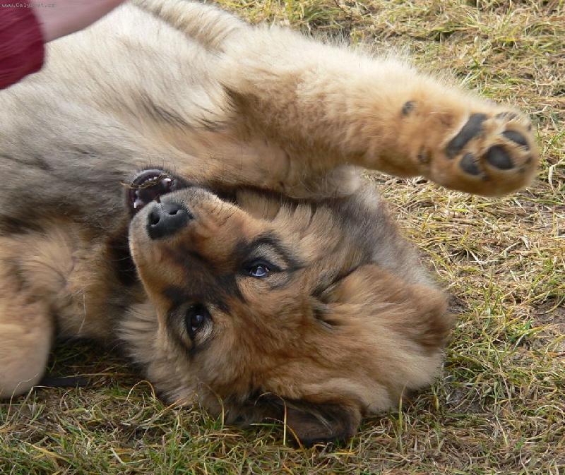 Foto: Ro��anda D�akynka