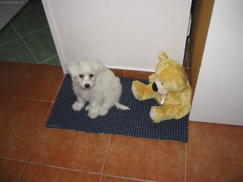 Foto: �a�inka:)-jeden roztomilej�� ne� ten druh�:D