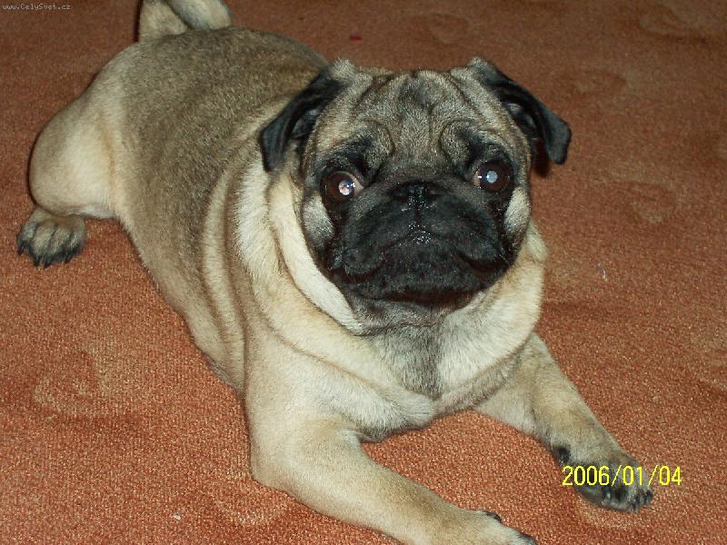 Foto: Eddy-Le��m:)