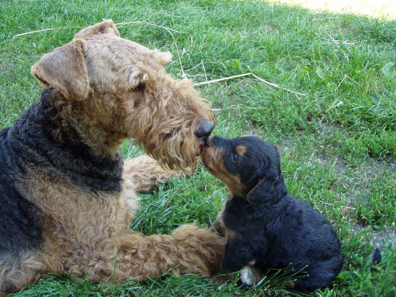 Foto: PUSU!!-To v�, �e si moje!